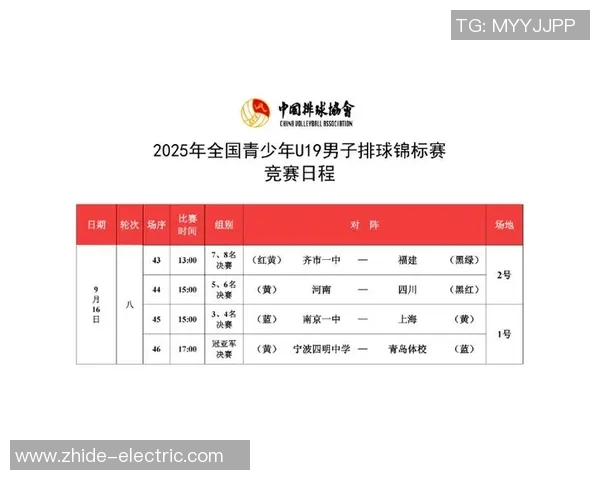武汉排球队勇夺最新排球耐力TOP10榜首位置引领全国之巅