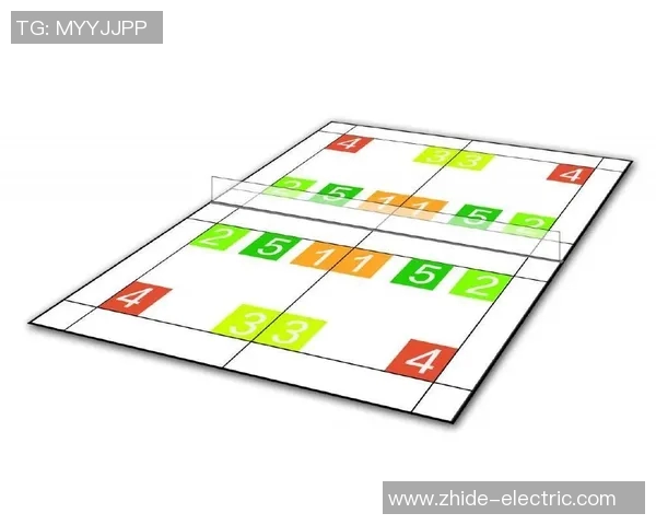 深圳羽毛球队的战术解析与训练秘笈深度剖析