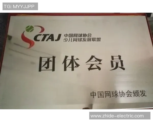 专业解读:武汉网球队的节奏打法 专业解读:武汉网球队的节奏打法