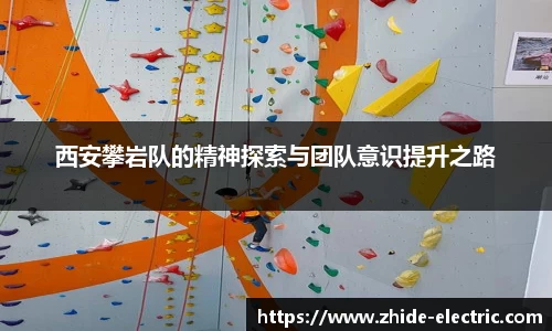 谈球吧